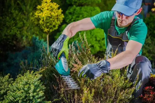 landscaping services Caneyville
